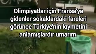 Kedilerinize ve köpeklerinize sahip çıkmazsanız farelerle tanışırsınız