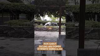 IKON GARUT PATUNG ADU DOMBA DI SABDA ALAM #dafsfamilychannel #ikongarut #dombagarut #adudomba