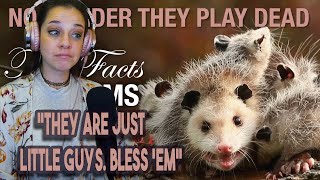 *They're just a little guy. Bless.* True Facts: Not-Dead Opossums and Their Weird Defenses--Ze Frank