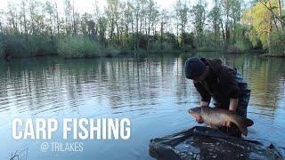 YATELEY TRI-LAKES CARP FISHING