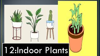 12 indoor plants for decoration and airpurifiers/ #Indoor Plants| #mobileringtune  #relaxmusic