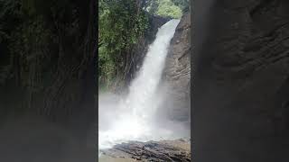 sochipara falls | wayanad | #shorts