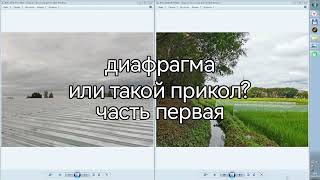 Мнение: На что может влиять диафрагма (апертура в оптике). На примере VIVO x90 Pro Plus. Что делать?