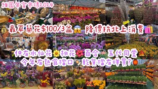 【維園年宵市場2024】首日直擊花市💐 最平蘭花$100/3盆💰降價抗北上消費🛍️仲有水仙花🌼桃花🌺百合🪷五代同堂🍁今年有熟食檔口🍢乾貨檔有咩買?🏮