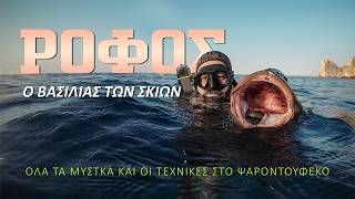 Ροφός ! Ο Βασιλιάς των Σκιών - Τα Μυστικά για την προσέγγισή του ! #spearfishinggreece #duskygrouper