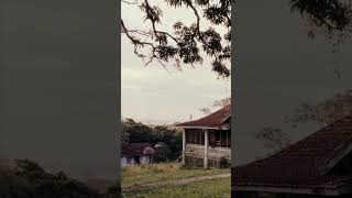 Amazon Jungle Ghost Town #onemegaprojects #abandonedplaces #abandonedtowns #fordlandia #henryford