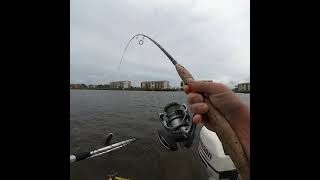 Full video of the Redfish I caught earlier. #fishing #redfish #cotee