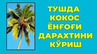 Туш табири - Тушда Кокос ёнгоги дарахтини куриш