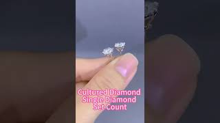 Cultured Diamond Single Diamond Set Count