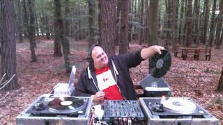 Dub Forest vinyl mixset by Specdub