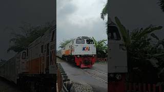 KA Argo Wilis Ngebut Di JPL 331 Rajapolah!! #cc206 #kaargowilis #keretaapiindonesia