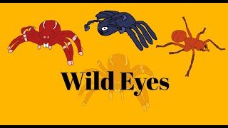 Bug World Production Music: Wild Eyes