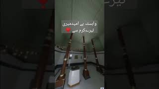 الٰہی تیرا ہوں فقط تیرا 💖 #viral #new #religion #shorts