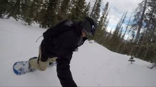 Tree Run -Wolf Creek Ski Resort Top to Bottom