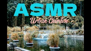 Urban Garden Photography ASMR (No speaking, No music.)