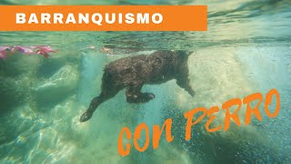 💦Barranquismo con🐕 PERRO de AGUAS ESPAÑOL. La MEJOR Raza🤘