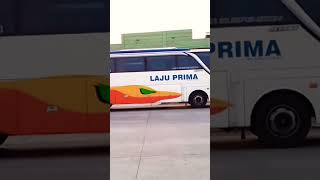 BUS LAJU PRIMA JETBUS 3 SETRA HINO RK8‼️#shorts #busmania #huntingbus #lajuprima #hibautama