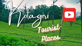 கோத்தகிரி | Kotagiri Tourist Places | Travel Vlog | KODANADU | Uyilatti Falls | Nehru Park #CBE