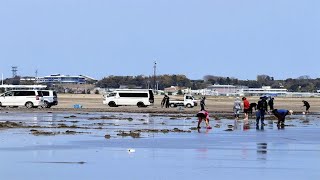 「他県ナンバーの車が駐車」「サーファーが海岸に」…住民から苦情相次ぐ