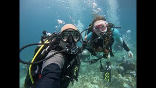 Scuba Diving in Malmok Bay, Aruba - November  2021