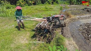 Joki Junior Memasukkan Traktor Dilanjut Nyingkal Joki Senior