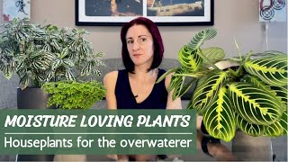 Moisture Loving Houseplants | Perfect Plants for the Overwaterer