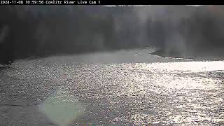 Cowlitz River Cam 1