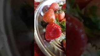 Strawberry ishtamaano  #malayalam #strawberry