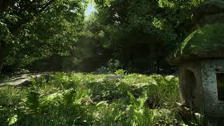 forest looking scene made using unreal engine 5