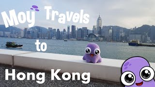 Moy Travels to Hong Kong 香港