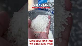 Giling Padi Murah Hasil Berasnya Mantap Tanpa Ada Sekam!   WA 0813 3325 1988 #gilingpaditanpasekam