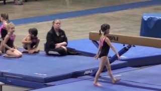 Annie   Level 3 Gymnast