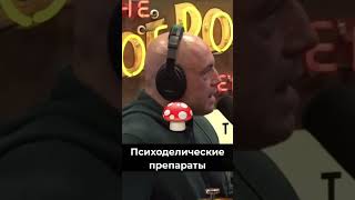 Теория высшей обезьяны