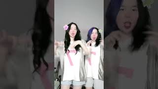 Bắng tim - Tikok Mèo Simmy, Sammy Đào Nhảy  #xuhuong #heroteam #trending #tiktok