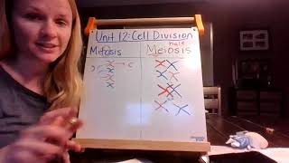 Bio Unit 12: Cell Division: Mitosis & Meiosis