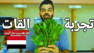 جو حطاب | سبب دمار اليمن 🇾🇪شجره القات #جو_حطاب #joe_hattab #اليمن