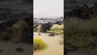 wonderful rain in desert | rain