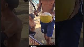 MONKEY MAN!! Picked us some fresh coconuts, and my broski Hadji D attempts to climb a tree😆🤣(part 2)