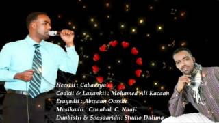 Hees Cusub2012 Cabaaryaha By Mohamed Ali Kacaan - 2012 (Best New Singer)