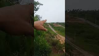 Retirada ilegal de terra, barro, piçarro, está soterrado e matando peixes da lagoa de EXTREMOZ 🇧🇷