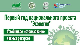 ДЕБАТЫ: "Устойчивое использование лесных ресурсов"/ ПЕРВЫЙ ГОД НАЦИОНАЛЬНОГО ПРОЕКТА «ЭКОЛОГИЯ»