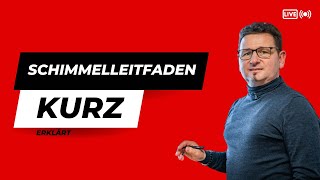 Schimmelleitfaden kurz erklärt