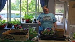 Repotting flowers for Memorial Day, and planting some Spanish radishes for a friend.