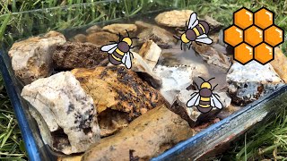 How to make an simple bee pond, watering station and bath - help the bees out