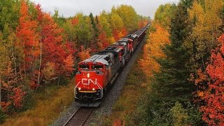 CN 8945 West, With Fall In Full Force 10-13-2015