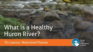 What is a Healthy Huron River?