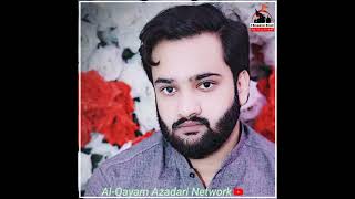 Syed Ali Hussain Mashadi ❤️💕💕 #subscribe #al #duet #musakazim