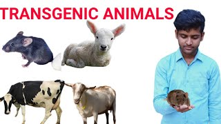 Transgenic animals Introduction,Methods, Example Application,/VBSPU/Applied Biology/Biotechnology