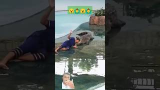 एक इंनसान ने मगरमच्छ के मुंडी मे डाला आपना सर 😮😮🙆‍♂️🙆‍♂️ #crocodile #animals #shortsvideo