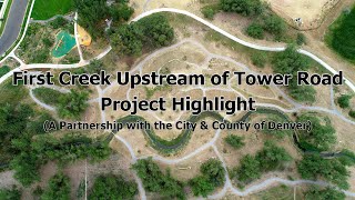 Project Highlight: First Creek Upstream of Tower Road